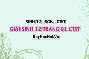 Giải Sinh 12 trang 91 Chân trời sáng tạo SGK